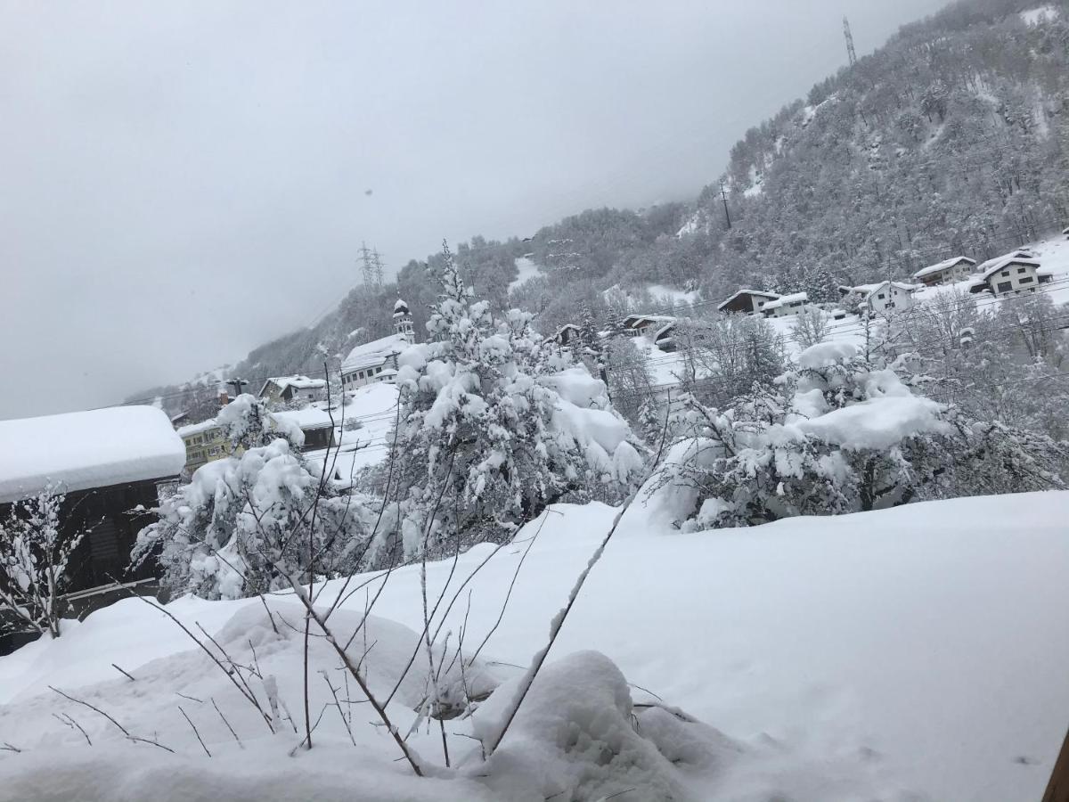 Tavanasa Ustria Crusch Alva B&B 외부 사진