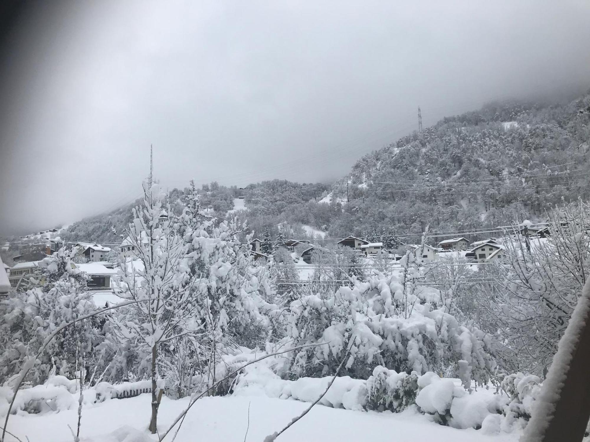Tavanasa Ustria Crusch Alva B&B 외부 사진