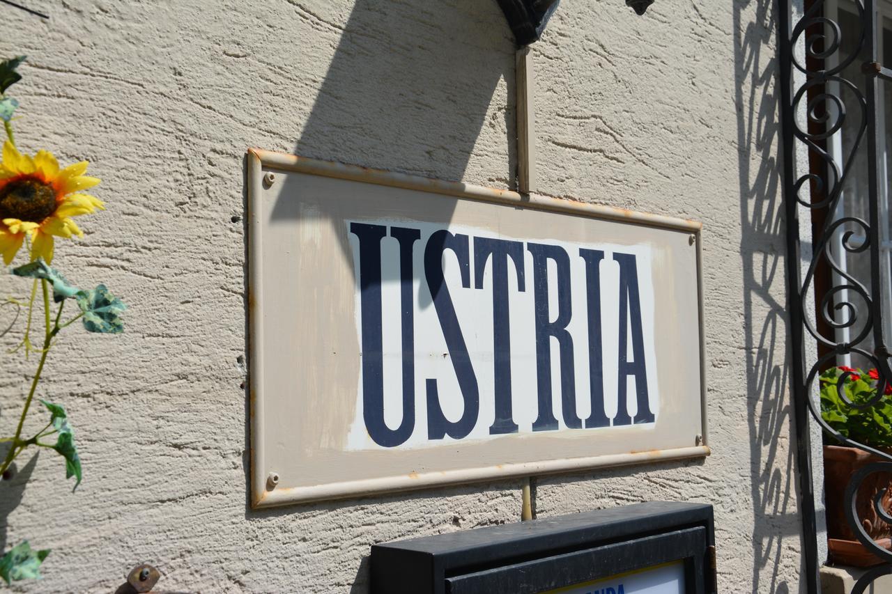 Tavanasa Ustria Crusch Alva B&B 외부 사진